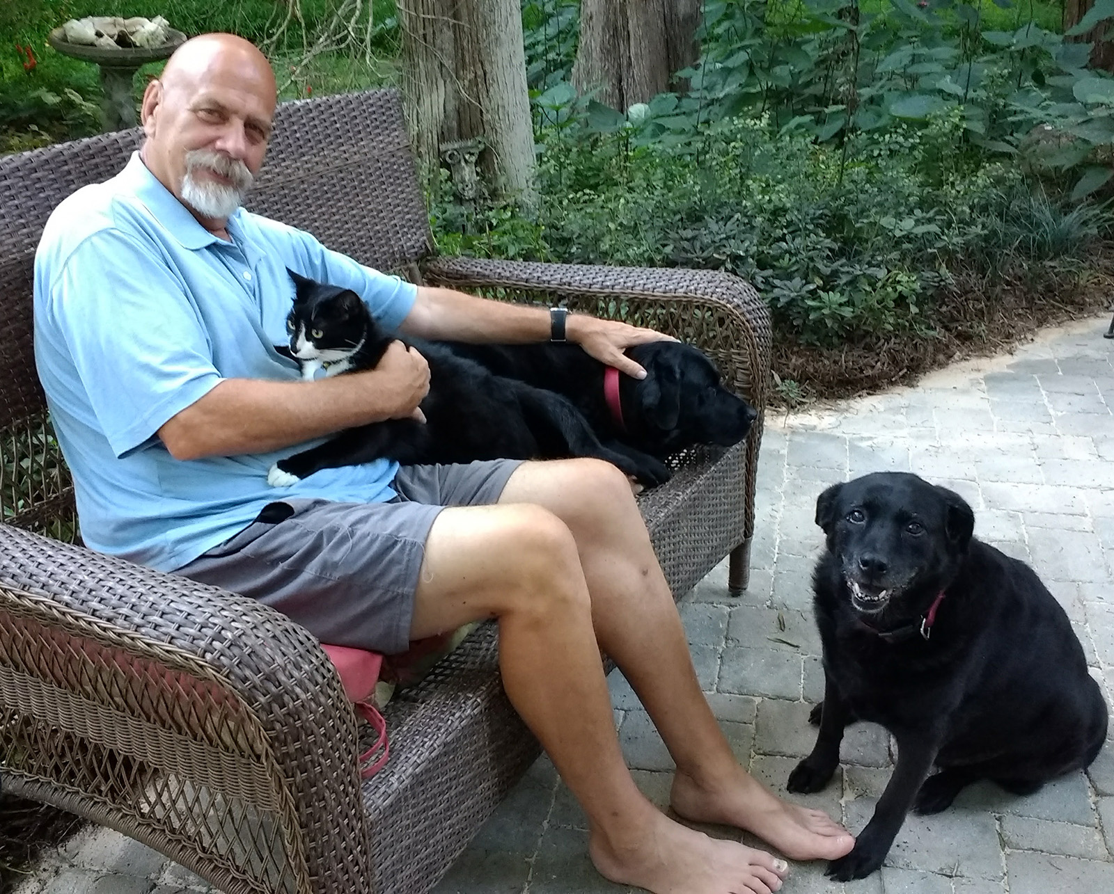 Steve Hurley mature reliable pet sitter Fearrington VIllage Pittsboro